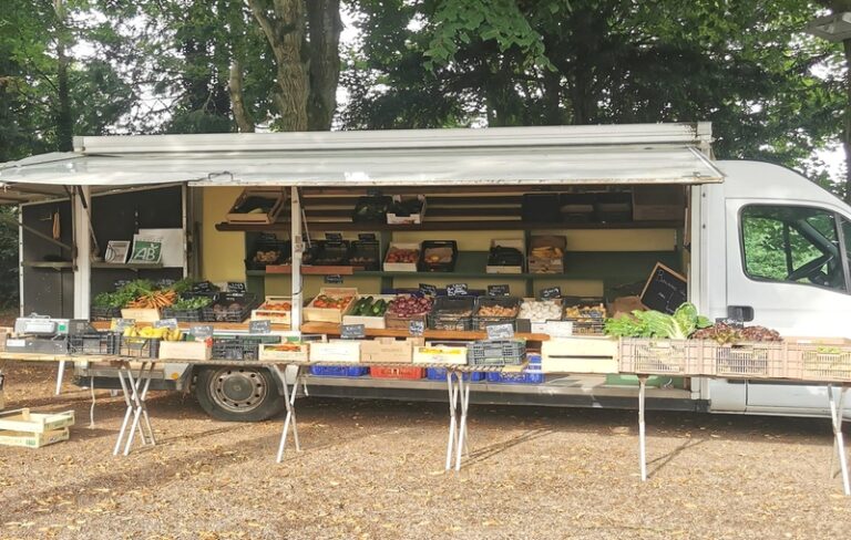 473114738 122225944682200376 7951768794857650641 n 768x488