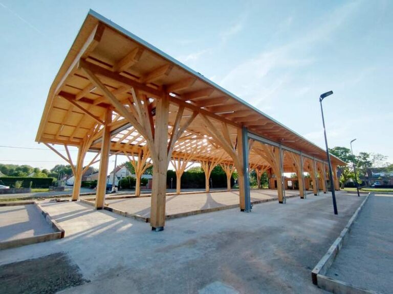 Polish 20250709 201704815 768x576