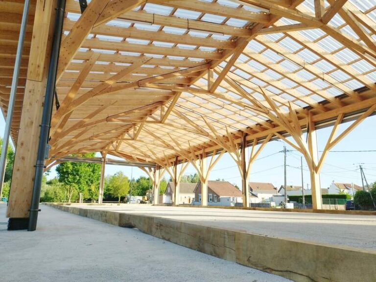 Polish 20250709 202454343 768x576