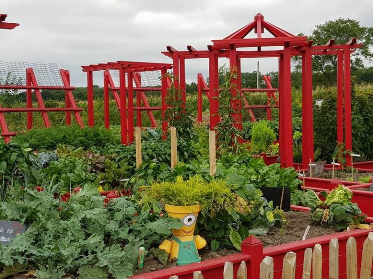 471260905 1491631974838995 5717518950660204403 n 768x576