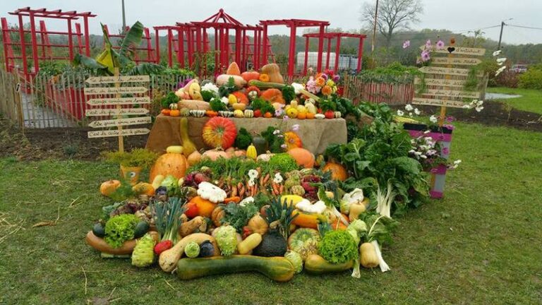 471275274 1491632091505650 1786116357868306089 n 768x432