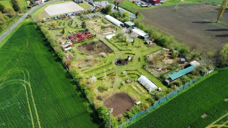 481806317 1053083226848099 1415557090381438384 n 768x432