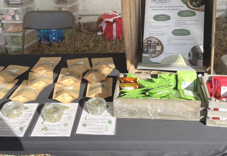 533400916 122149816232630633 1387822971492677164 n 768x526