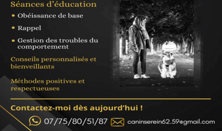 68a5e7822f0000e0ce02da66 768x454