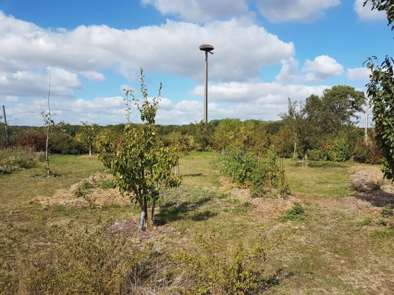 71101036 389351418400395 145764502762160128 n 768x576