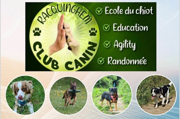 FB IMG 1753967660567 768x508