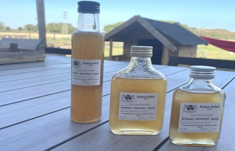 Sans titre 2 768x495