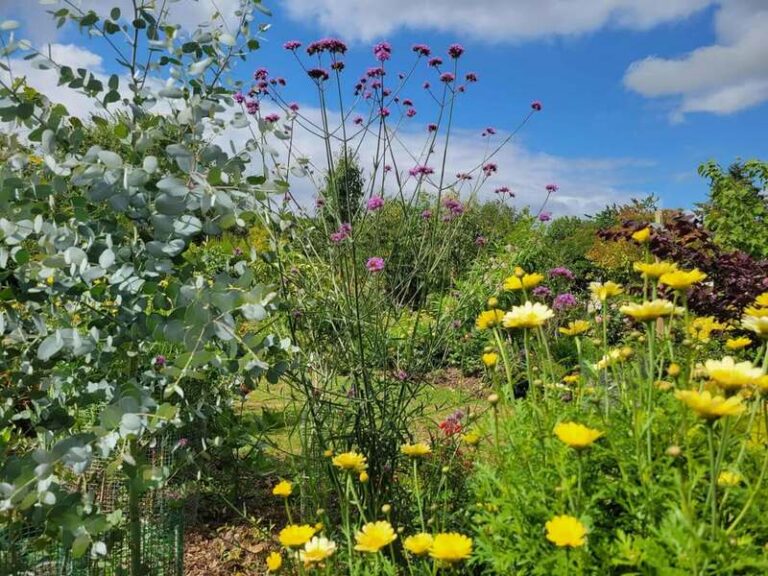 547258616 1274345780662772 3479377641981602869 n 768x576