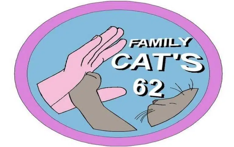 FAMILY CATs Saint venant 768x485