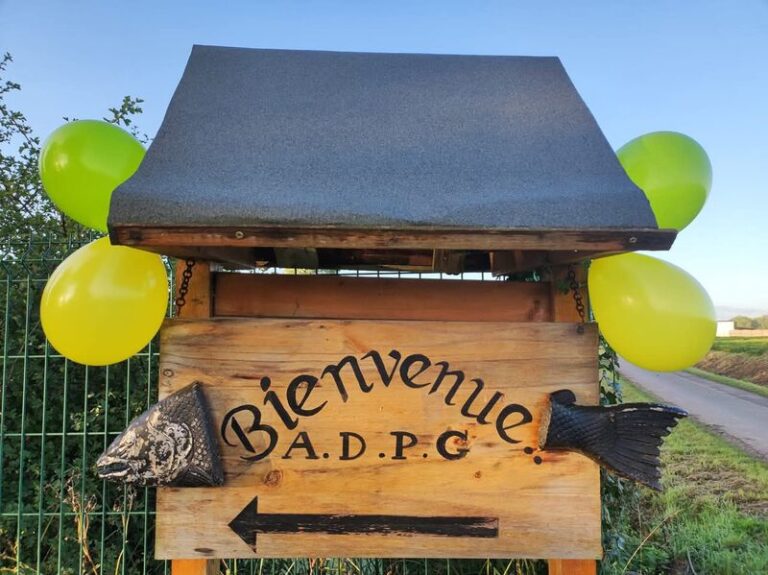 475039915 9478566958848321 1828331831307411648 n 768x575