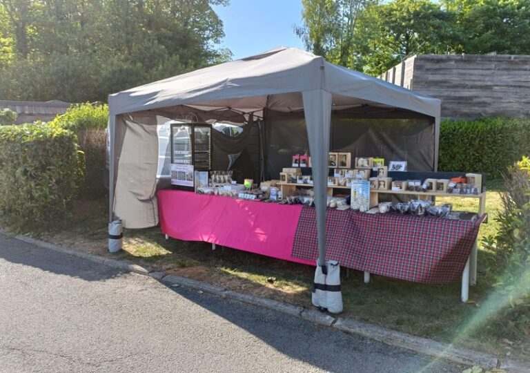 496347086 1146567440605594 7067703972672386381 n 768x540