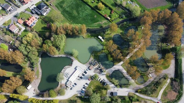 503606027 4109859842617108 908276101373431227 n 768x432