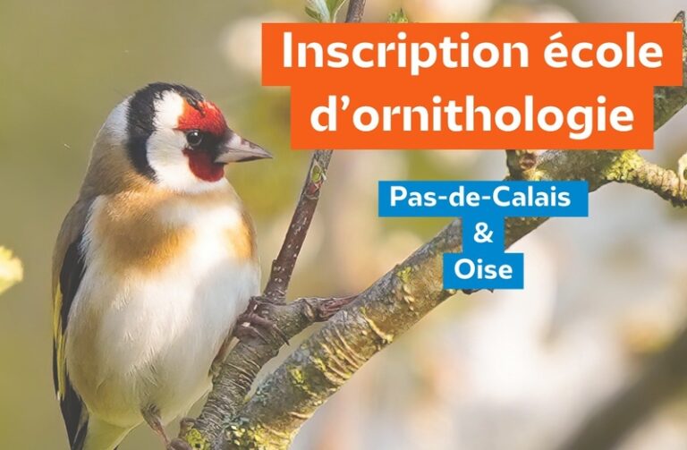 532359480 747606707912248 5686725949960000912 n 768x503