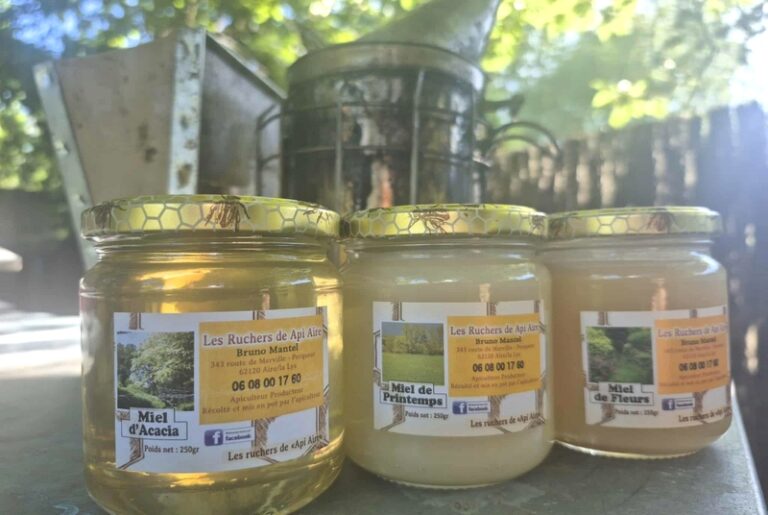 546368174 24463386316661126 4244360183754656562 n 768x515