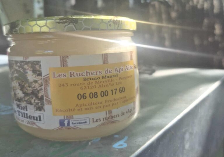 546614483 24463386863327738 5665931867291886997 n 768x540