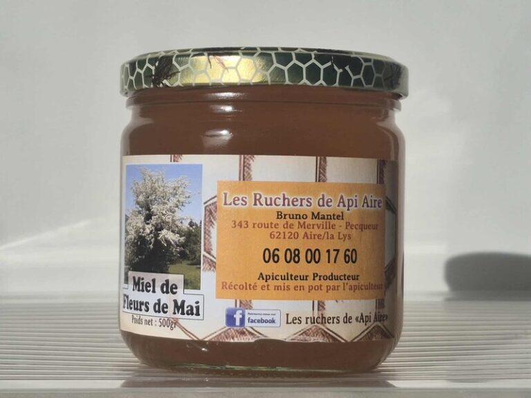 547852510 24459939480339143 5392154001163277437 n 768x576