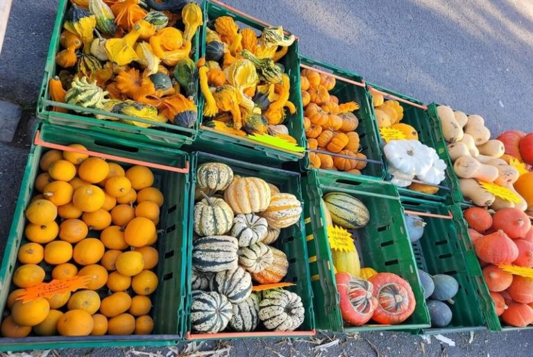 550644527 1396628575458380 237932956246615325 n 768x514