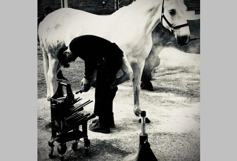 554868175 1509835053505576 1944927143159282945 n 768x521