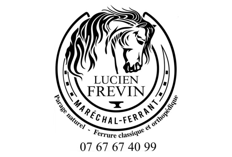 555805674 1509835743505507 580255941539896753 n 768x521