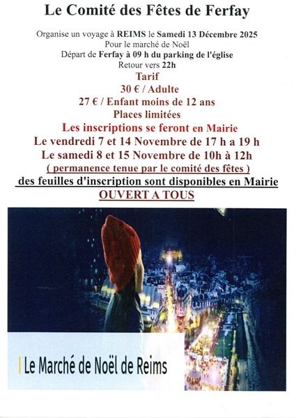 Déplacement au marché de Noel de Reims avec le comité des fêtes de Ferfay