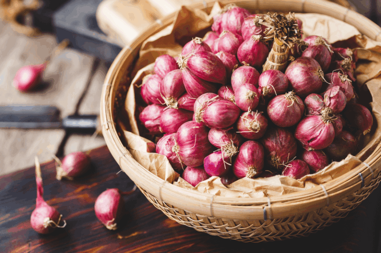 logo acadi 2000 x 1500 px 1 1 768x511