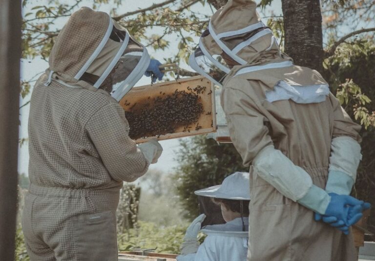 491463538 17900174547179411 8228816778704647423 n 768x534