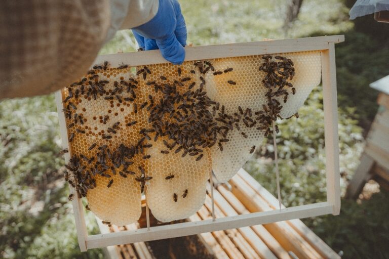 493110982 122129243036653208 1990350578045222146 n 768x512