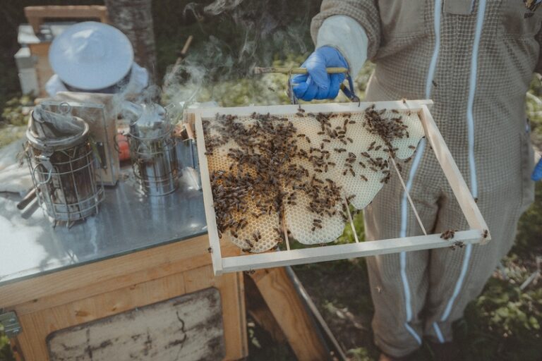 493210910 122129243096653208 6598848051630892074 n 768x512