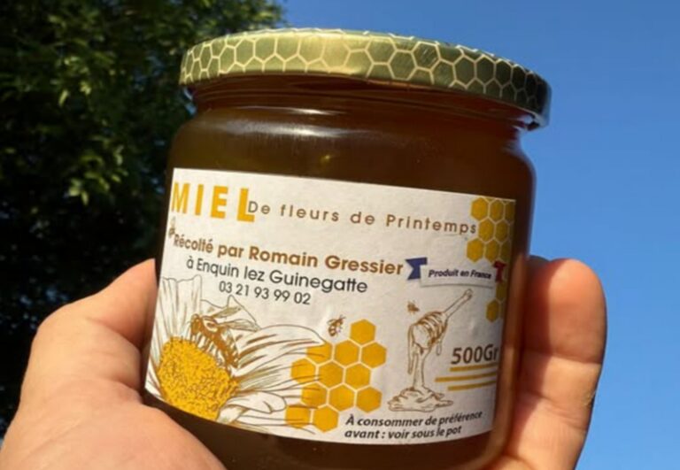 508312259 122179788518291790 484177932405293764 n 1 768x531