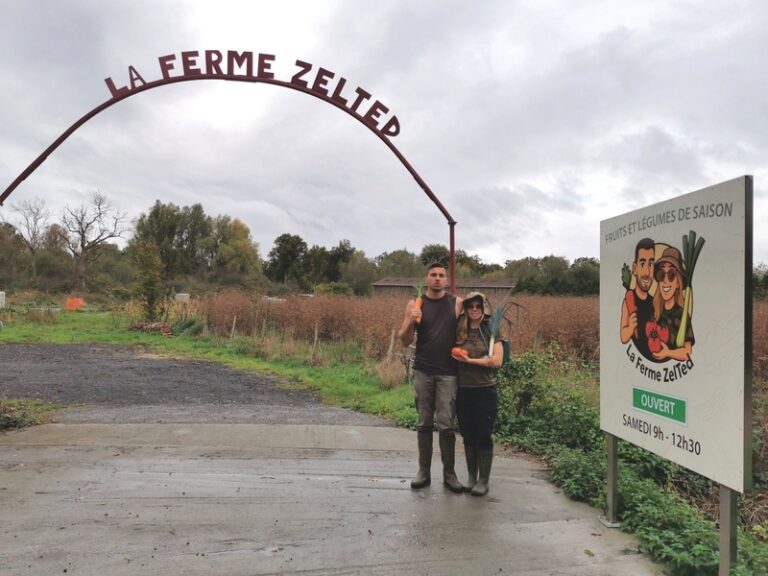 607650765 1186682106944060 2438333358271819907 n 768x576