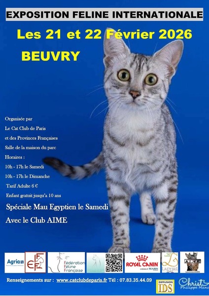 Une exposition féline internationale à Beuvry ces samedi 21 et dimanche 22 février