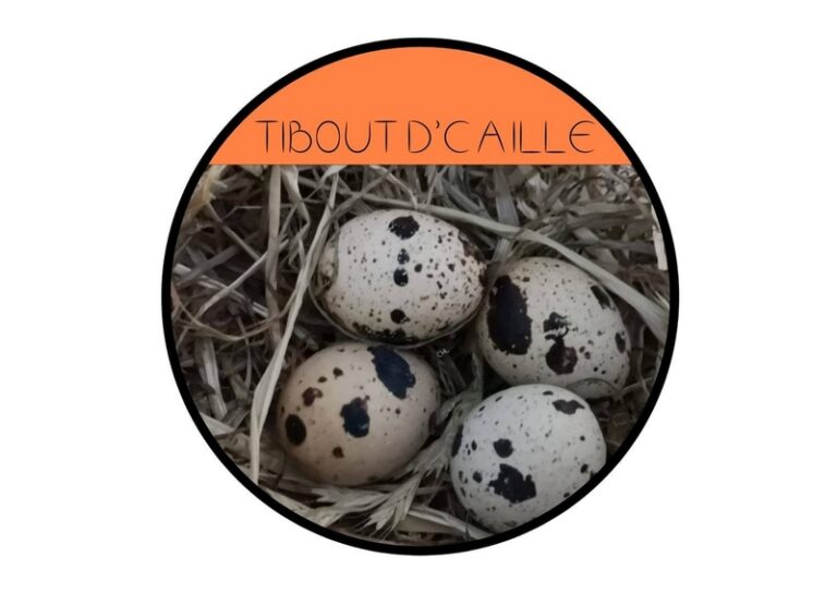 Tibout caille racquinghem 768x544