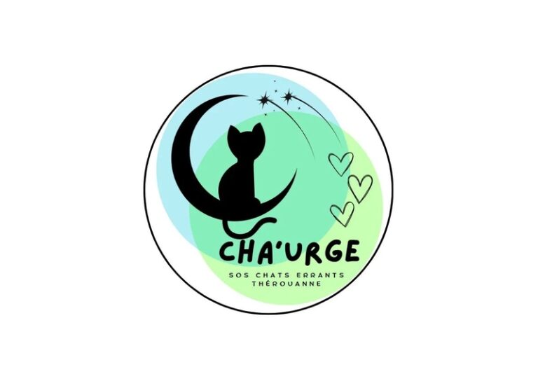 chaurge therouanne 768x544