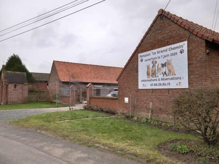 505138776 2967495240090547 3929244463322747004 n 1 768x576