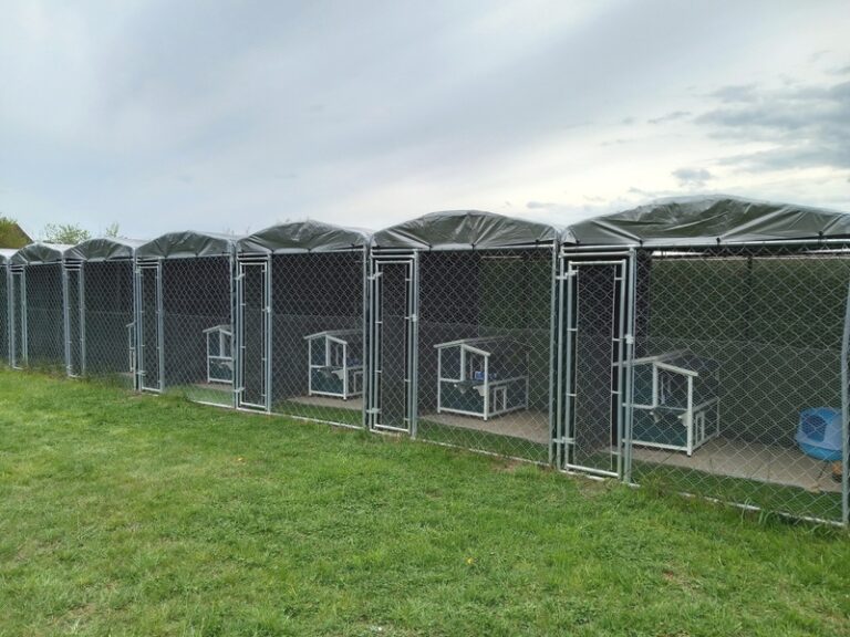 505371413 2967495473423857 4238506857993521627 n 768x576