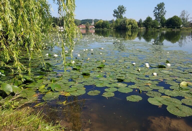 509349725 1106558594841795 678103030946045794 n 768x524