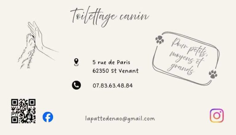 626552115 1232942692139140 3869334725335408506 n 768x439