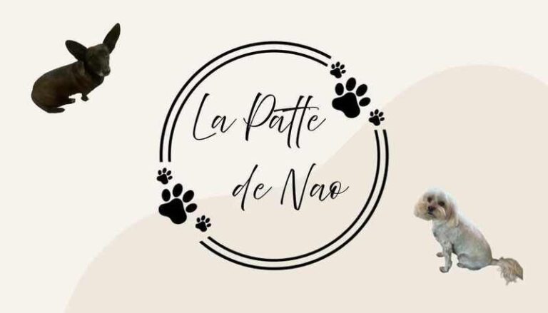 627663461 928013579689154 6399721021098466404 n 768x439