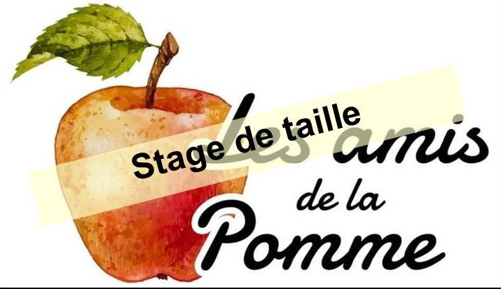 Stage de taille de fruitier à Gonnehem ce samedi 28 février