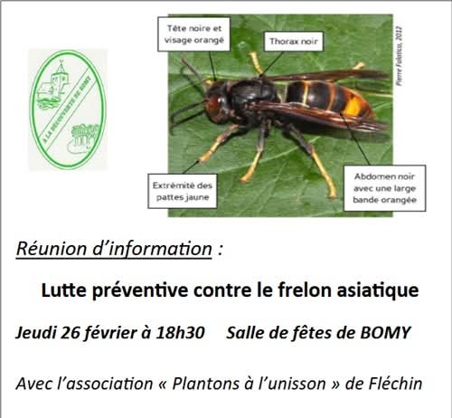 Réunion préventive contre le frelon asiatique à Bomy