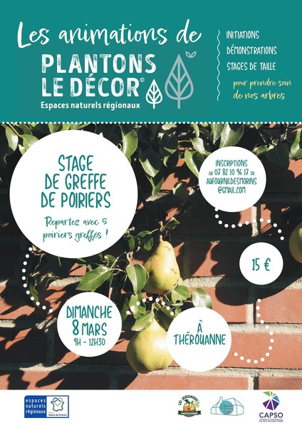 Un stage de greffe sera organisé ce dimanche 8 mars au fournil des morins de Thérouanne