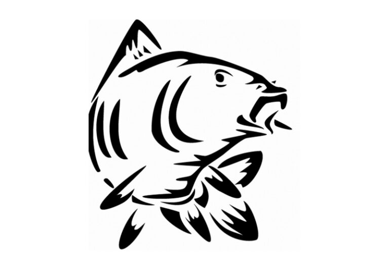 La tanche rebecquoise 768x535