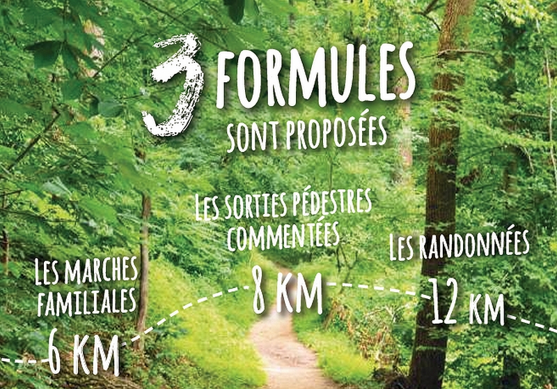 D'avril à octobre 2026, la capso va proposer diverses randonnées au départ de notre secteur