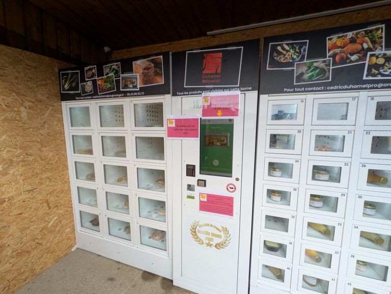 PXL 20260211 124149547 768x577