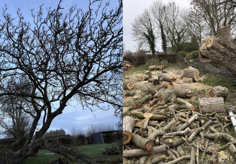 mm services ecques2 768x535