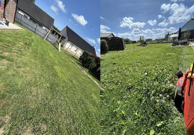 mm services ecques3 768x535