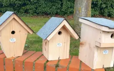 Des nichoirs avec le foyer rural de Heuringhem