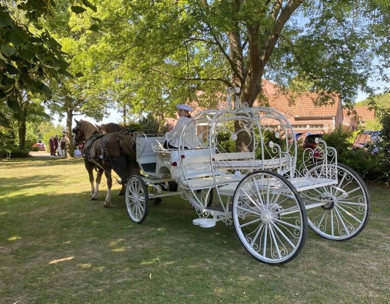 510182547 1242488807881387 2559826176318919086 n 768x598