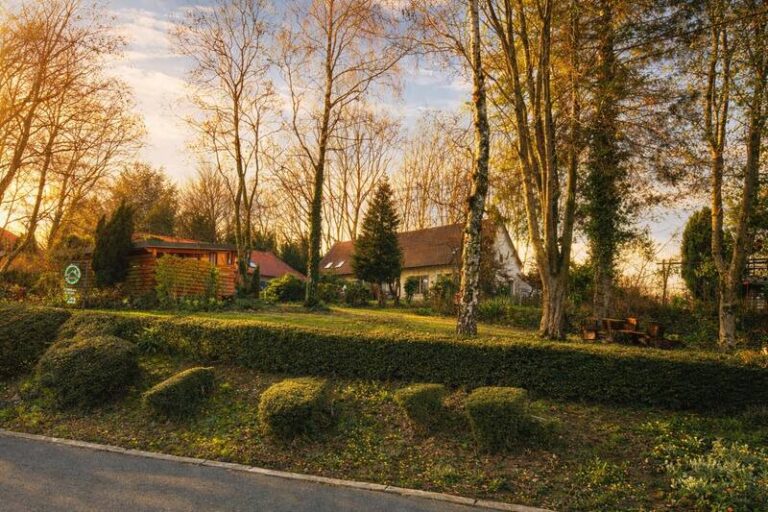 618610702 122277264044210137 5467687383731137396 n 768x512