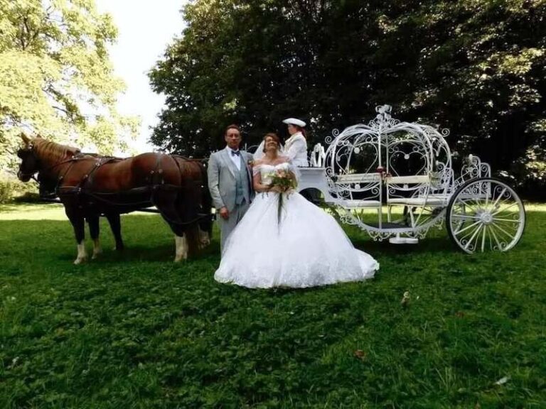 626400374 933926199582673 6824537010682354757 n 768x576